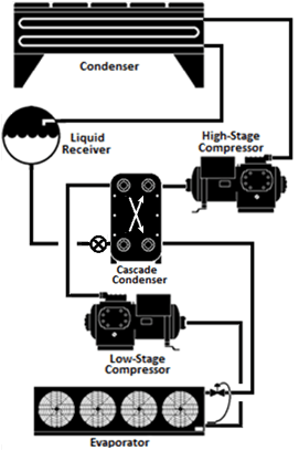 figure showing a cascade system figure showing a cascade system
